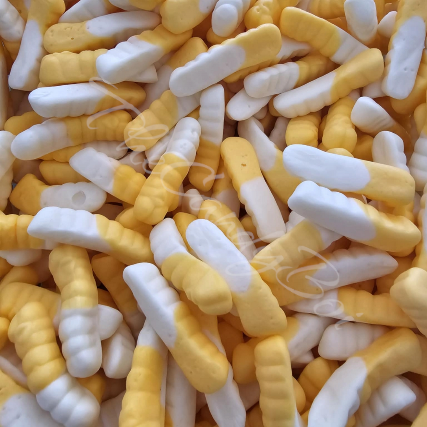 Witchetty Grubs ye a ka baara kɛ