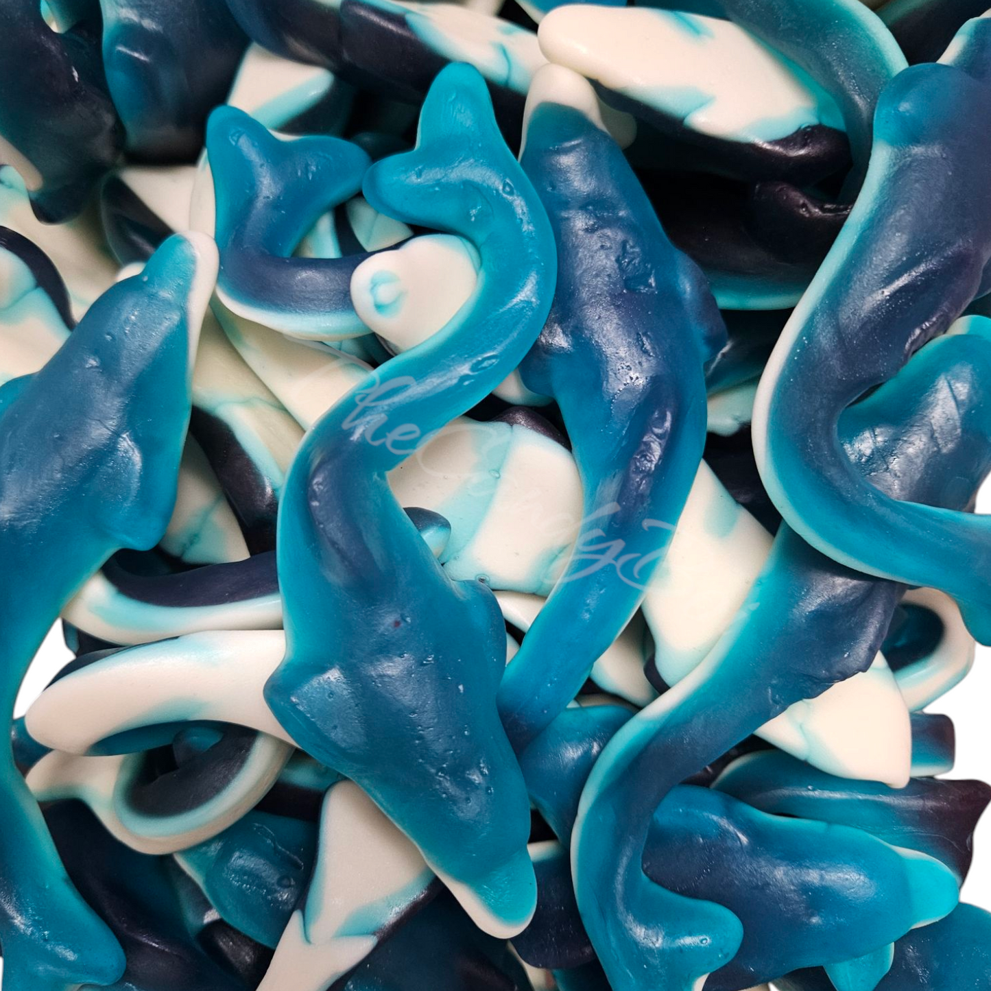 Reuse Dolfyne (VSA) (GF)