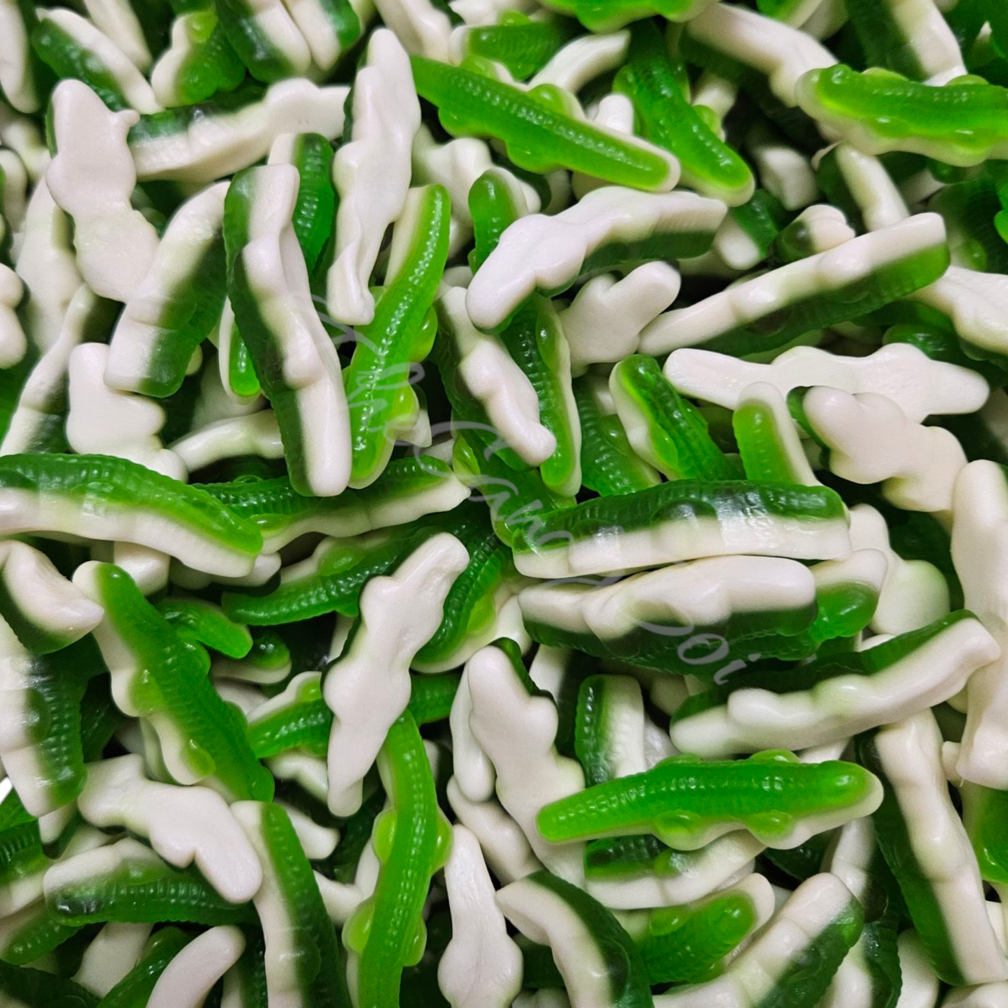 Gomkrokodille (VSA) (Halal)