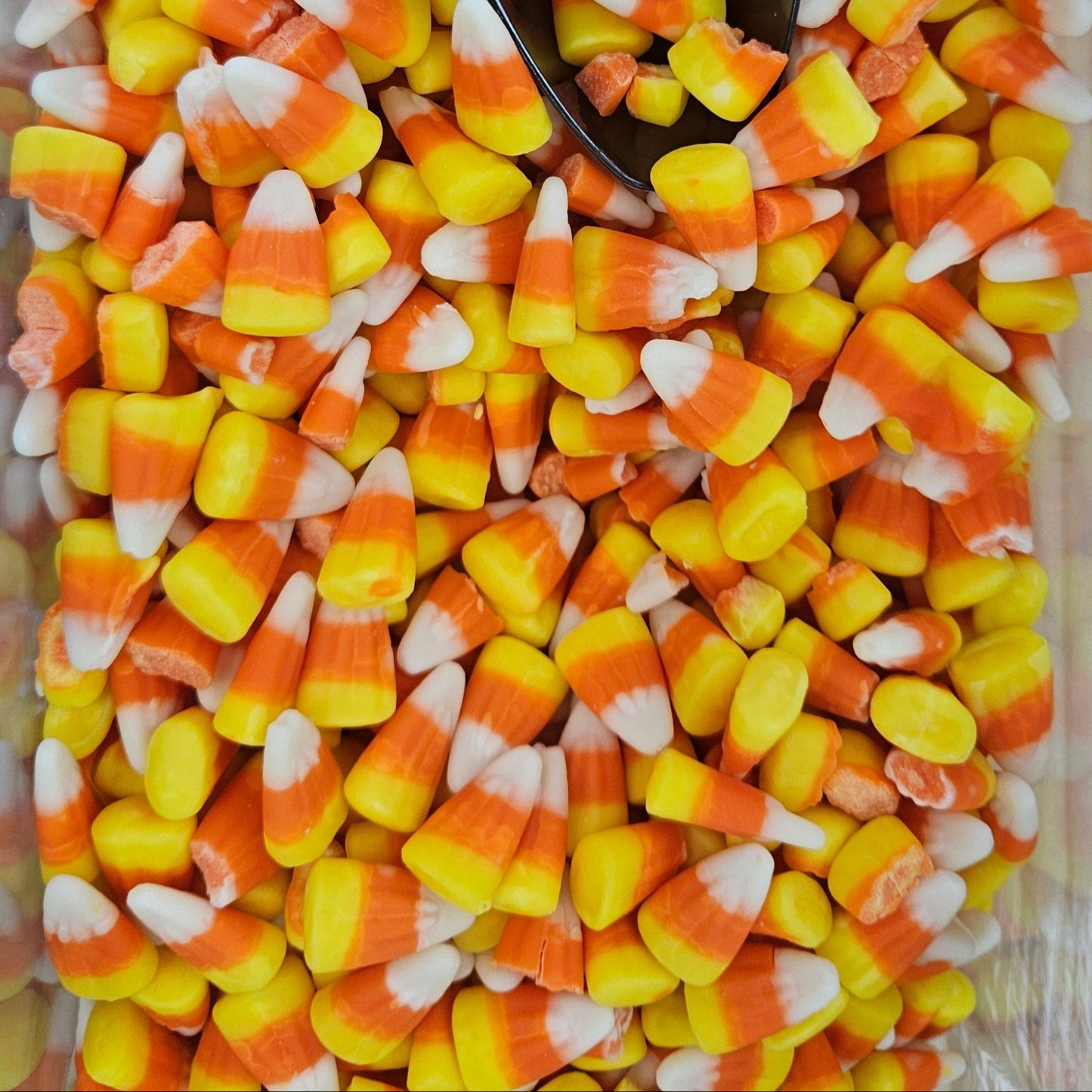 Lekkergoedmielies (VSA)