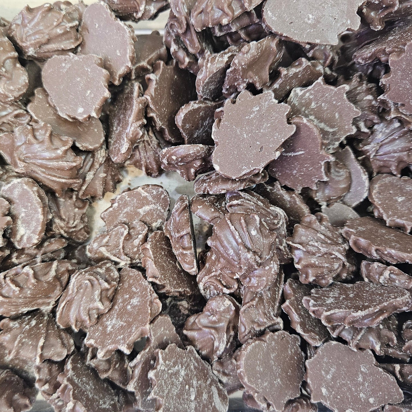 Chocolat Buds (Sokola Buds) ye