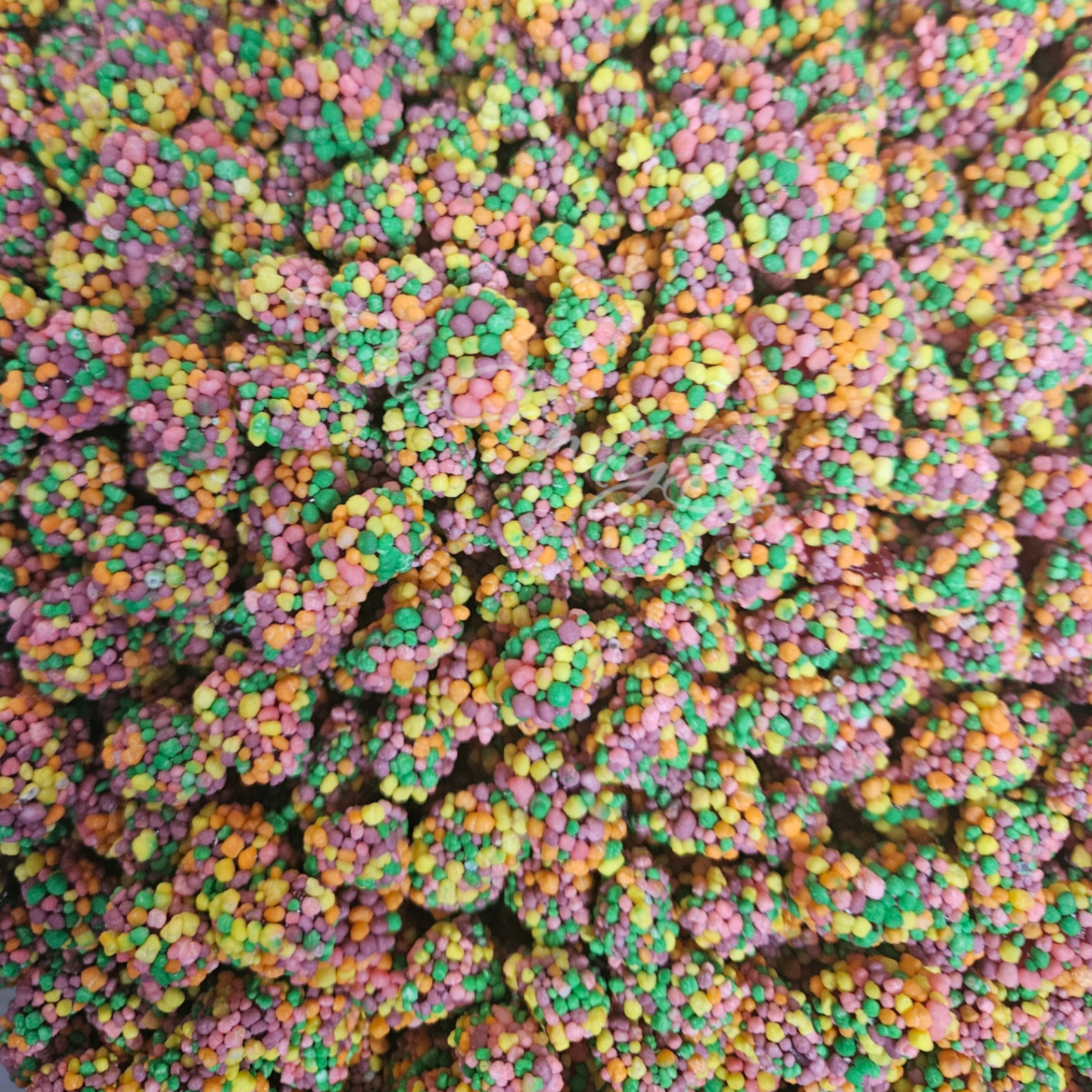 Nerd Gummy Cluster ye