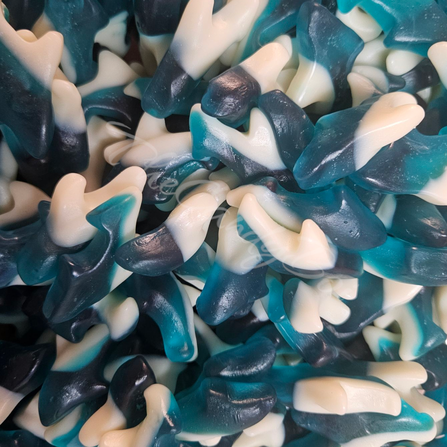 Gummi Blou Haaie (VSA) (GF)