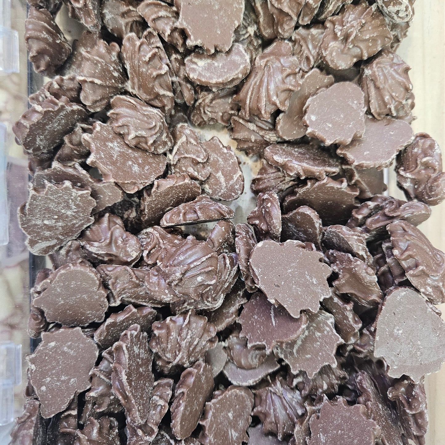 Chocolat Buds (Sokola Buds) ye